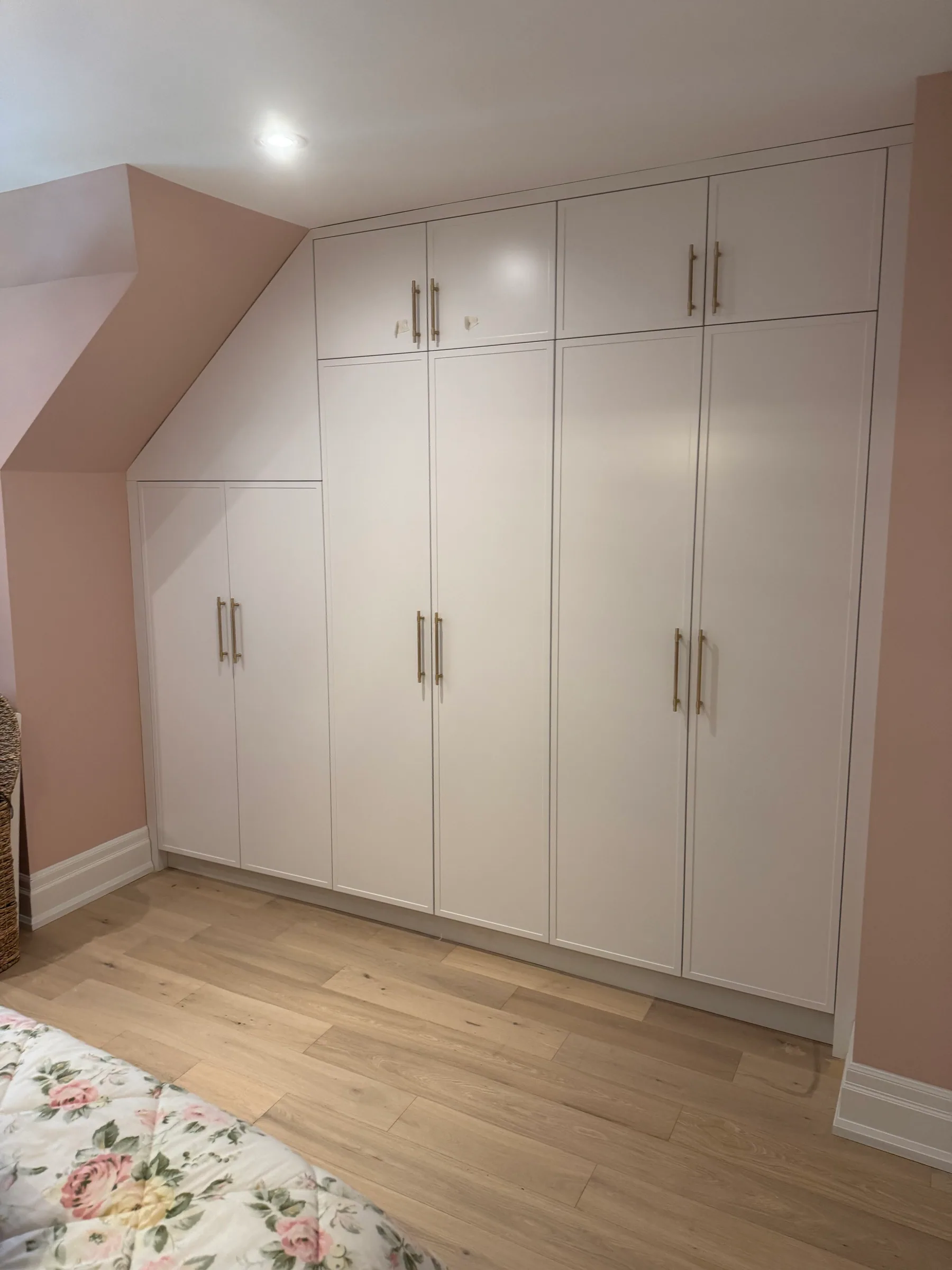 Lisa custom closet and built-ins