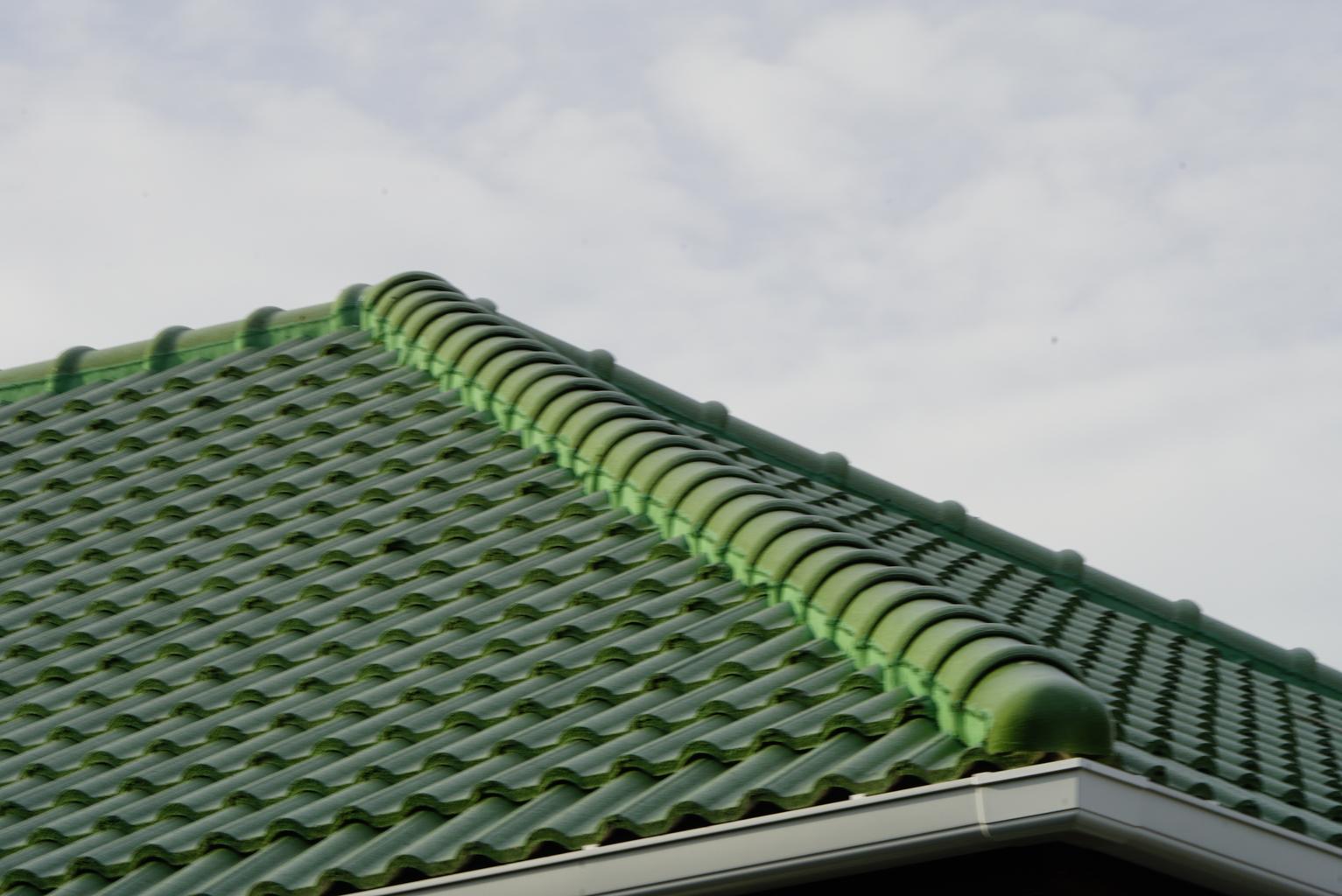 Professional Roofing Services